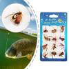 A1A2 Fishing Fly Fishing Fly Kits Fly Fishing Lures Fish Salmon Trout Fly Wet/Dry Fishing Feather Baits Fishing Tackle