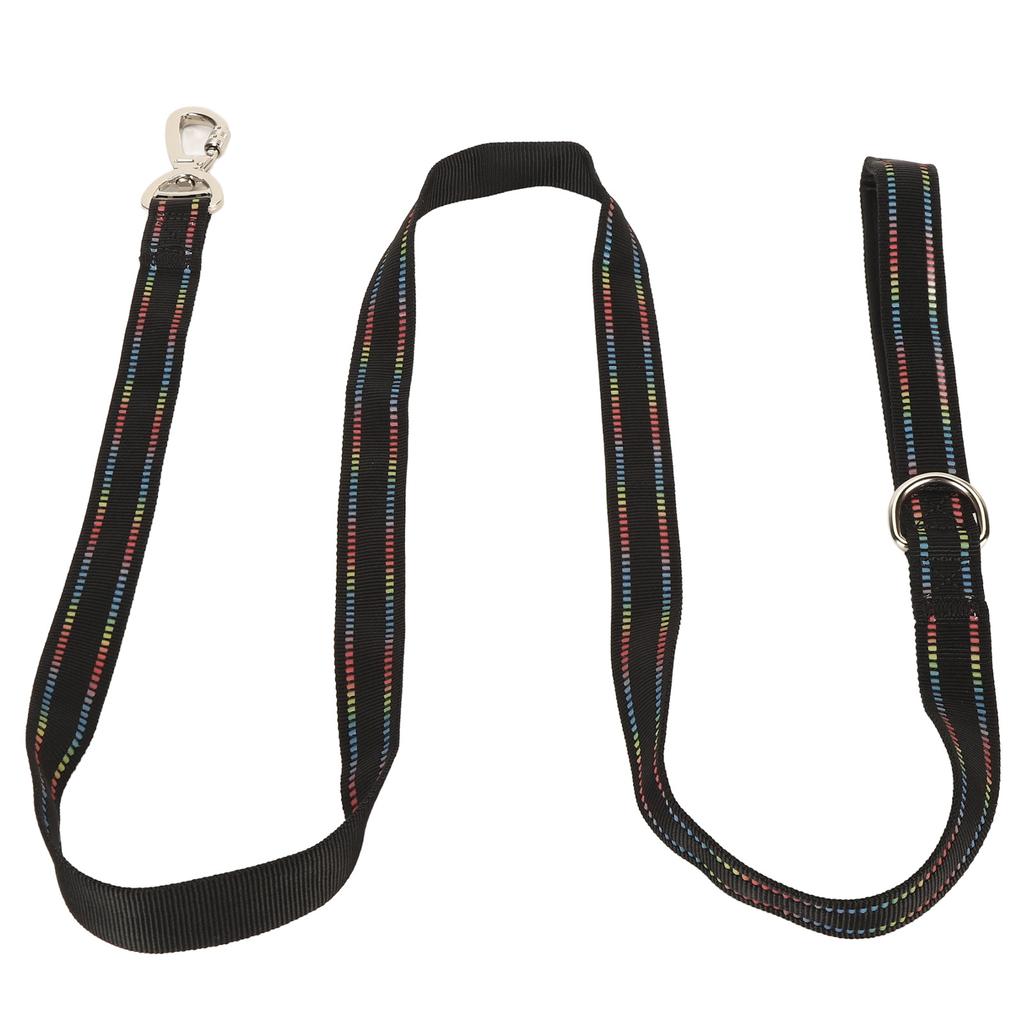 Pet Leash Fluorescent Dog Traction Rope Secure Locking Fabric Training Leash for Walking Shopping Ca