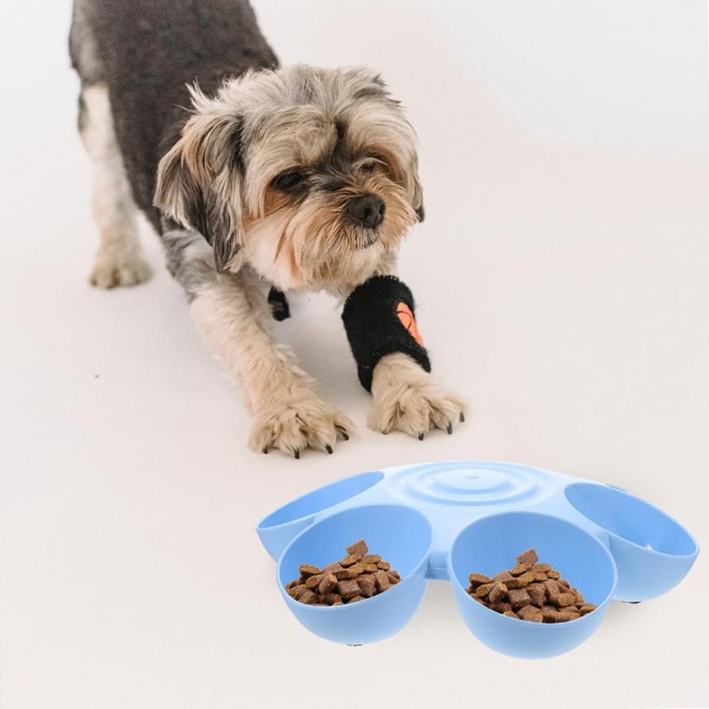 Flower-Shaped Multi-Compartment Pet Feeding Bowl for Cat Dogs Small Pets Six Separate for Simultaneous Feeding for Multiple Pets