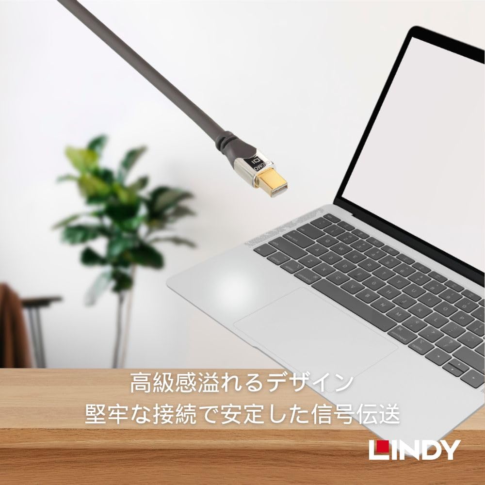 LINDY CROMO LINE DisplayPort Cable 0.5m 1.3 (Part Number 36305)
