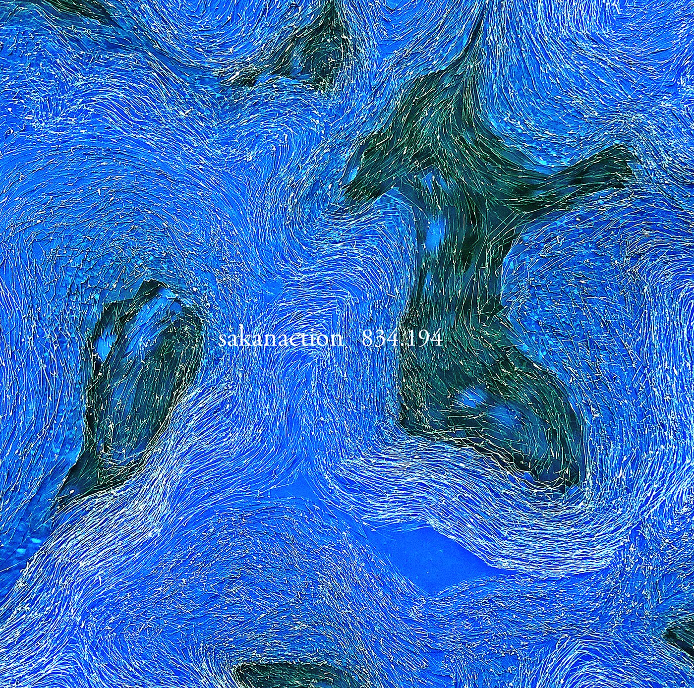 

834.194 (Регулярное издание 2CD]) (Открытка лотереи без заявки)