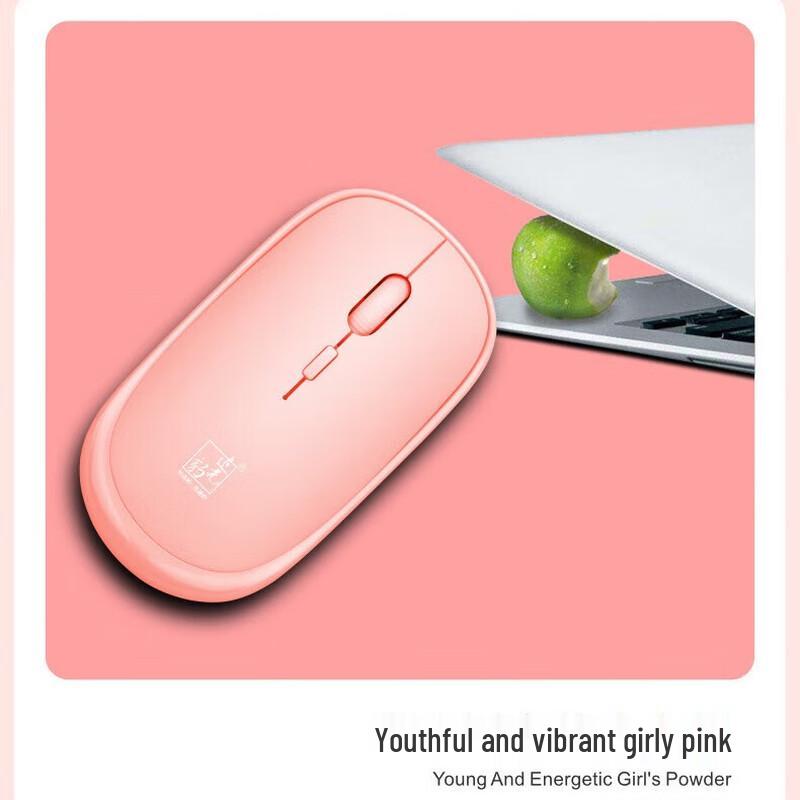Zhuiguangbao Mini Wireless Mouse 301