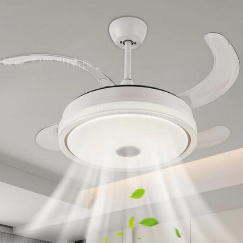 Scalable Invisible Electric Ceiling Fan Light Silent Pendant Light Fan Household RGB Colorful Bluetooth Music Fan Lamp