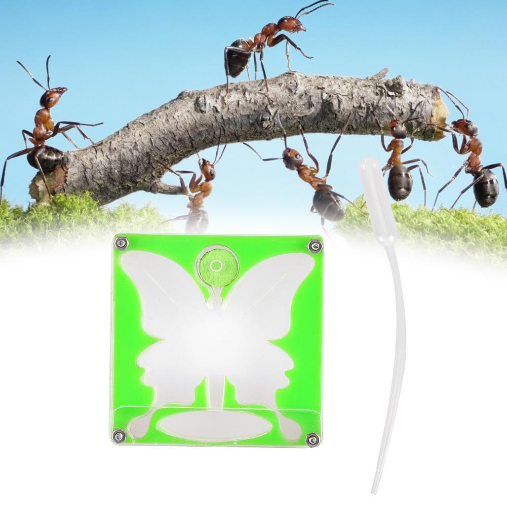 Ant Workshop Self Controlled Humidity Ant Nests Castle Ant Home Acrylic Ant Nests