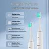 Panasonic EW-DC01 Sonic Electric Toothbrush CN plug (adapter included)