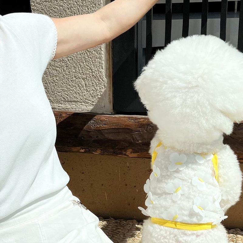 

Summer Breathable Mesh Bigbear Suspender Thin Small Dog Teddy Puppy Two-legged Cat Pet Puppy Dog Clothes XL (recommended weight 11-7.5 kg)