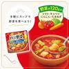 Whole Vegetables Slowly Simmered Pot-au-Feu 200g6