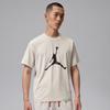 Jordan Men's Knit Crewneck T-Shirt IQ7267-104