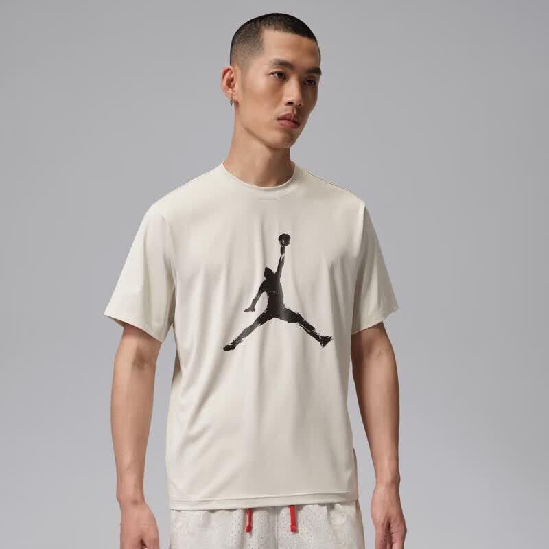 Jordan Men's Knit Crewneck T-Shirt IQ7267-104