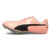 EvoSpeed Sprint 10