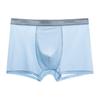Summer Men's Ice Silk Underwear Thin Teenage Underwear Men's Boys' Underwear Panties