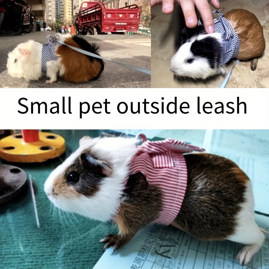 Small Pet Leash Harness Bunny Harness and Leash Set Small Animals Walking Chest Strap for Guinea Pig Hamster Chinchilla Rabbit