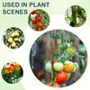 1/10/20/30PCS Reusable Adjustable Plant Ties, Green for Climbing Plants, Support and Garden Maintenance