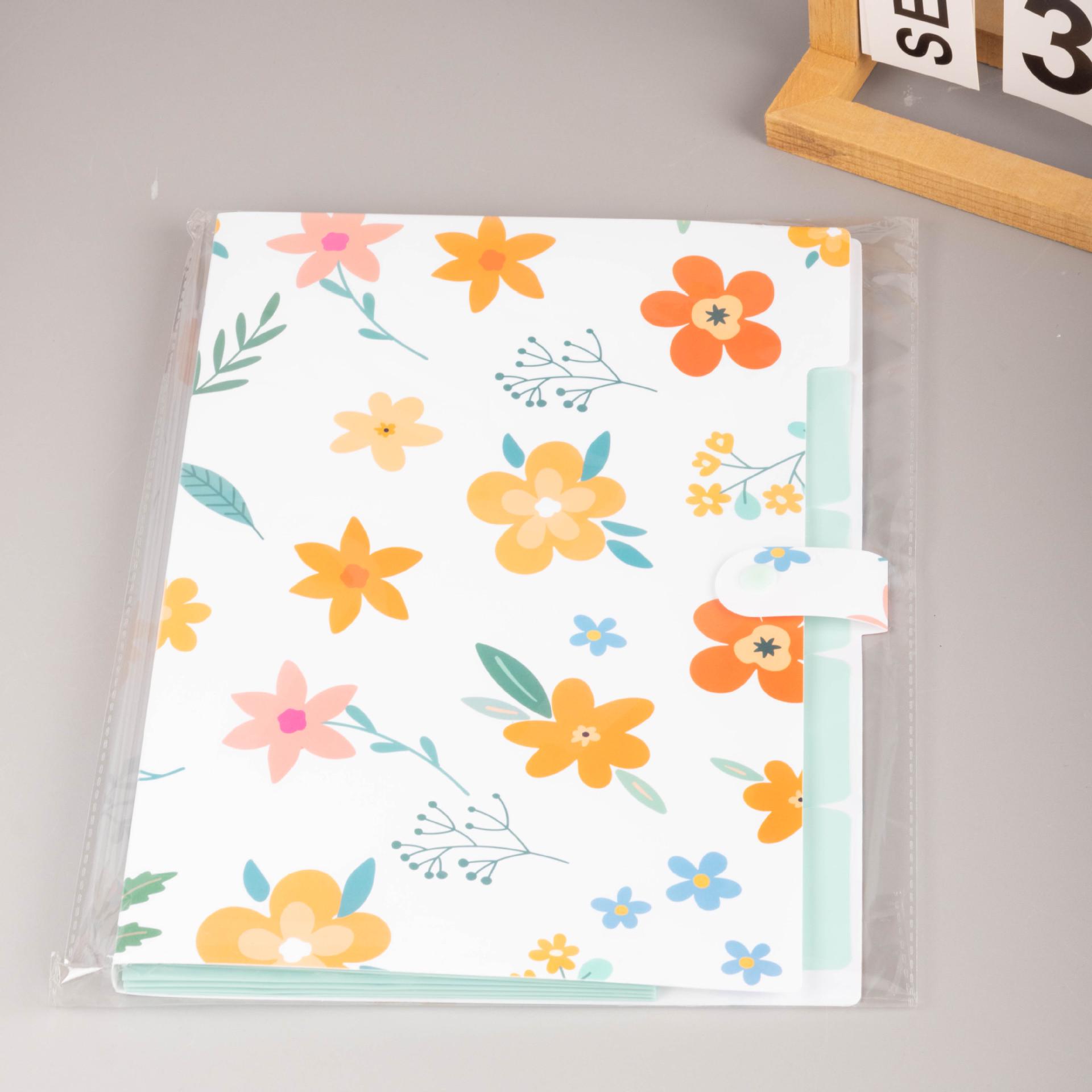 

Пластиковая папка-гармошка формата А4 для студентов и офисного использования A4-32.5cm*24cm