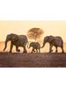 Wildlife Elephant Family Posters Canvas Painting Animal Father Mother Baby Love Wall Art Picture For Modern Room Home Decoration
