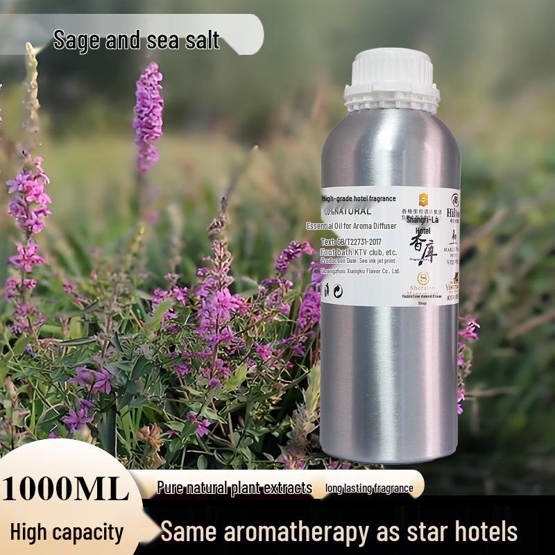 Oil-Soluble Aroma Diffuser Machine: 1000ML Essential Oil Sprayer for Hotels, Clubs, and Commercial Spaces