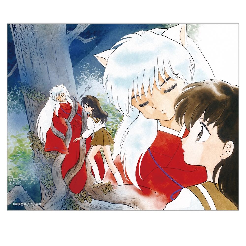 

InuyAshA InuyAshA CAnvAs BoArd A
