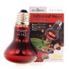 The Best 35W Infrared Heating Bulb For Terrarium Allegro