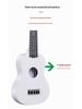 21palcová barevná ukulele pro začátečníky Mini kytara Plastový hudební nástroj