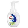 Walch Foaming Antibacterial Hand Wash, Lime