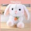 Bunny Adorable Carrot Plush Pendant Doll Key Chain For Kids And Collectors