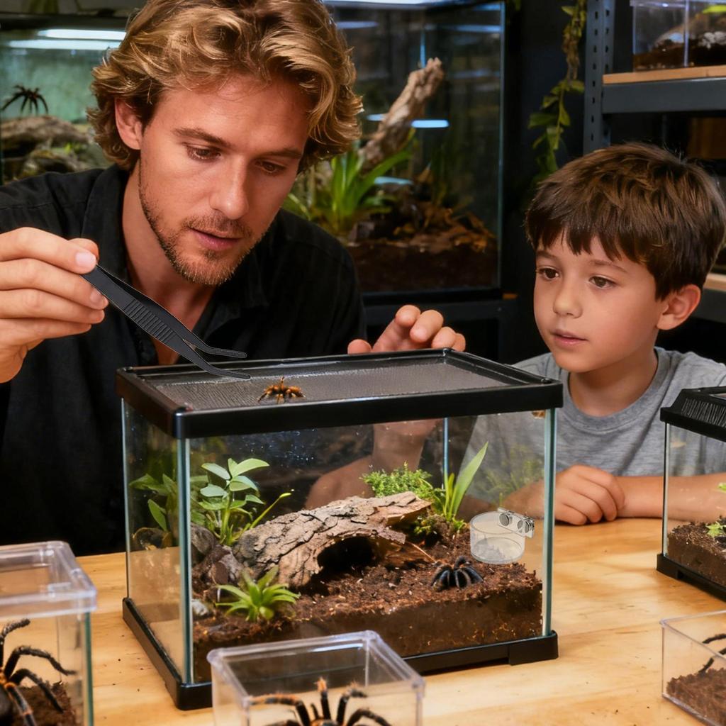 Gamelle Alimentaire Magnétique Pour Araignées Salticidae, Petit Ensemble Bol Eau & Nourriture, Plat pour Terrarium pour Mantes Tarantules Petits Reptiles