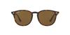 Sunglasses Japan 53 [Ray-Ban] Ray-Ban 710/73 (FREE Size)