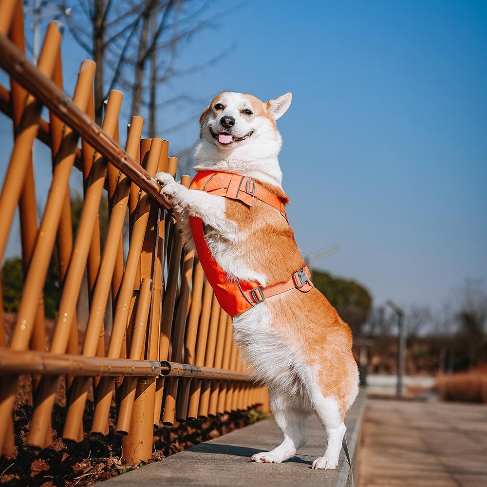 Reflektierendes Nylon Hunde Geschirr Verstellbare Hunde Geschirre Wasserdichte Haustierweste mit Kontrollgriff für Kleine Große Hunde Bulldogge Mops