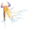 Silicone Jellyfish Ornament Decoration for Aquarium Fish Tanks 2.4x5 Inches Artificial Bright Color Moving Jellyfish