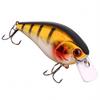 Fishing with 6 Color Options, Floating Topwater Noise-Making Hard, Lifelike Crankbait