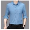 Smooth Anti-pilling Mulberry Silk Men's Long-sleeved Shirt Spring and Autumn New Striped Shirt No Ironing
