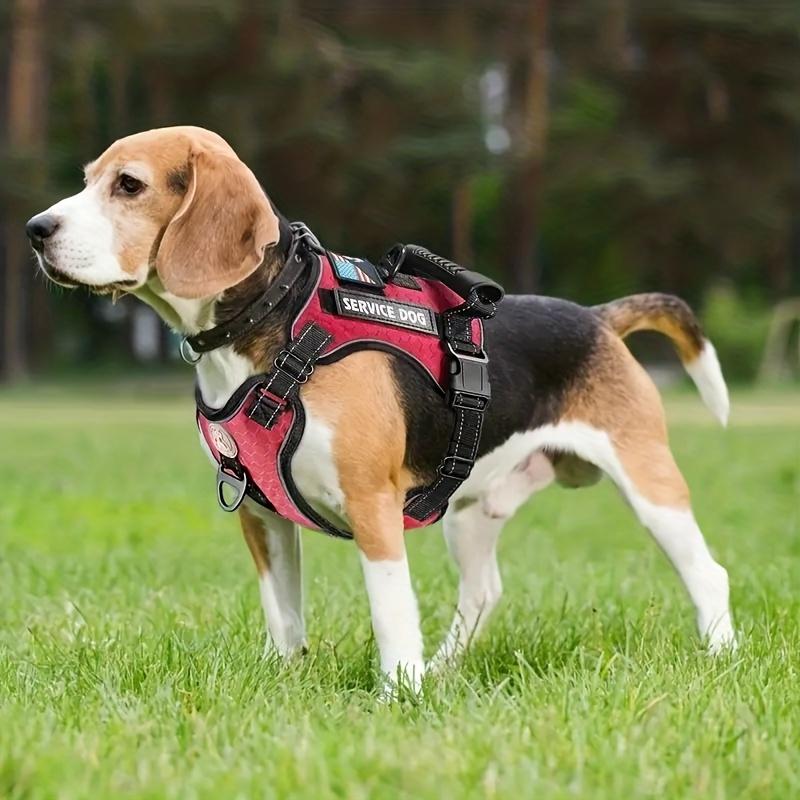 Hundegeschirr und Leine Set, Explosionssichere Stoßdämpfende Bequeme Hunde Weste, Reflektierendes Haustier Brustgeschirr Zugseil
