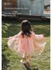 Girls' Butterfly Dress - Spring 2025 Sweet Mesh Princess Skirt