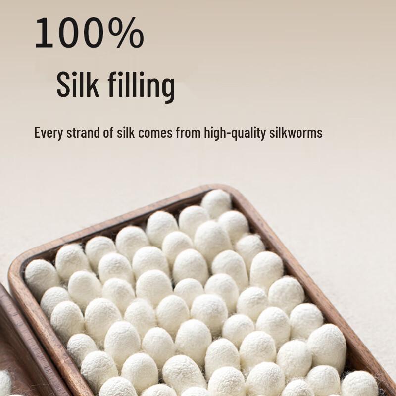 SILKUEEN All-Season Mulberry Silk Quilt