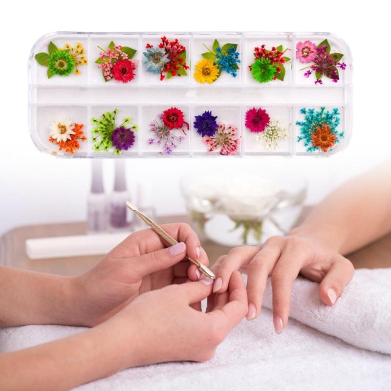 Assorted Color And Shape 3D Dried Flower For Creative Nail Designs Resin Art Projects Professional Salon Home DIY Use