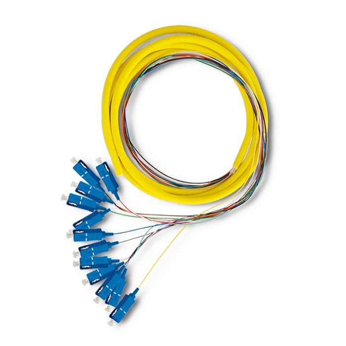 Qoltec 12 x Fiber Optic Pigtail SC/APC | Singlemode | G652D | 2m