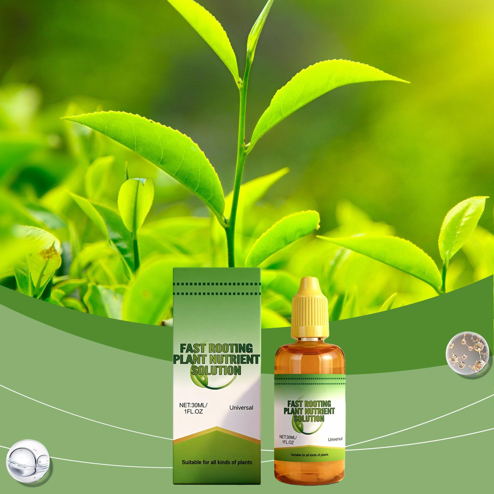 Rooting Plant Nutrient Solution: Nourishes Plant   Replenishes Nutrients  And Promotes Root Growth.30ML One Size