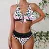 Push Up Bikini  Bikinis Set Womens Swimsuit Sexy Female Swimwear Floral Bathing Suit  Biquini Swimming Suits Bathing Suits