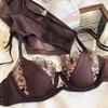 Sexy Lace Women Lingerie French Flowers Embroidery Bra Set Breathable Mesh Splicing Push Up Bras Hollow Thin Cup Underwear Sets