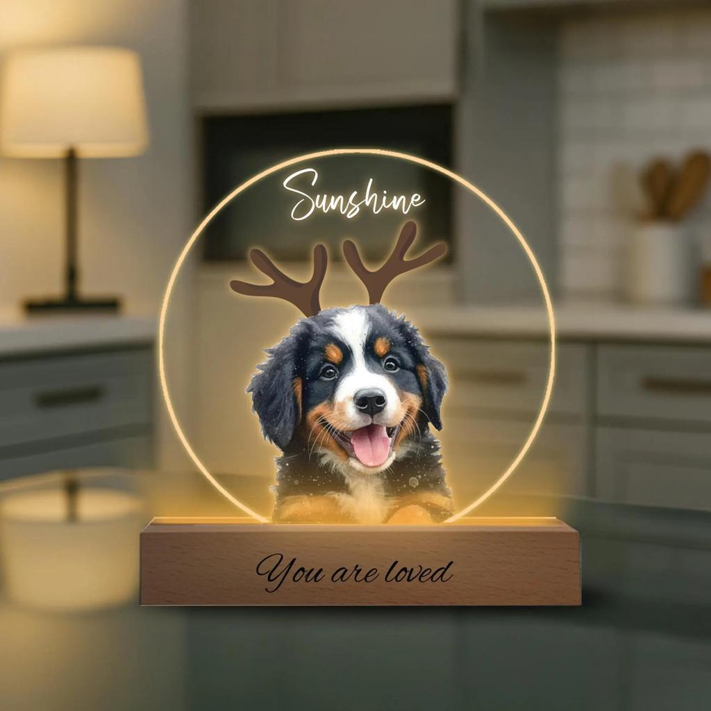 Individuelles Acryl-LED-Nachtlicht Personalisierte Haustierporträt-Design Mit Namensgravur Sentimentales Geschenk Für Tierliebhaber