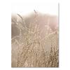Pastoral Nature Scenery Plants Canvas Paintings Nordic Animal Reed Quotes Posters Modern Print Pictures for Wall Art Home Decor