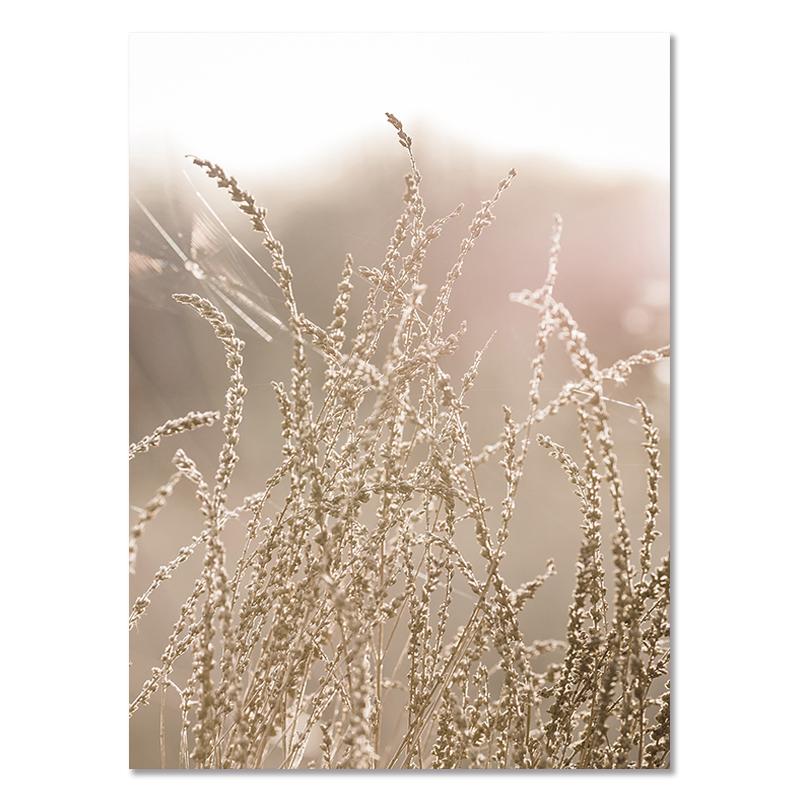 Pastoral Nature Scenery Plants Canvas Paintings Nordic Animal Reed Quotes Posters Modern Print Pictures for Wall Art Home Decor