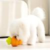 TPR Pet Puzzle Chewing Toys Carrot Shaped Cat Slow Feeder Creative Dog Leakage Food Toy  Puppy Play