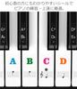 ColorfylCoco Compatible with 49 61 76 88 Keyboard Piano Stickers Piano Stickers for Pasting Tweezers Included Keyboard Keyboard Musical Note Stickers