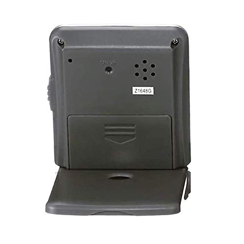 RHYTHM Alarm Clock, Radio-Controlled, Voice Alarm, Travel Clock, Silver, 9.5x7x2.1cm (Closed), 8RZ214SR19