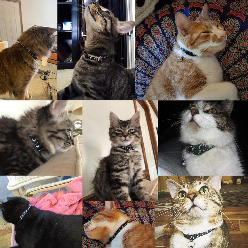 Waag Crescent Moon Galaxy Space Cat Collar - Multiple Designs, Safety Breakaway Collar (Black Webbing, XXS 6.5"-10" Neck)