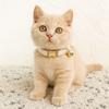 Metal Buckle Cat Necklace Adjustable Pet Dog Collar Practical Pet ID Name Tag  Pet Show