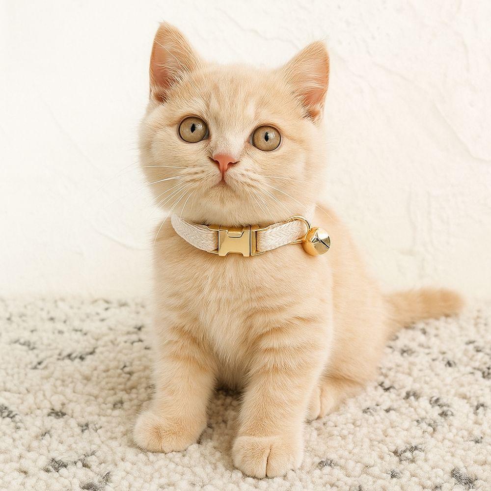 Metal Buckle Cat Necklace Adjustable Pet Dog Collar Practical Pet ID Name Tag  Pet Show