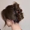 Vintage Woman Hair Clips Acrylic Large Shark Clip Chinese Hair Accessories Girls Headdress Female Hair Pin
