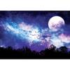[Aloc] ALOK 1000 Piece Jigsaw Puzzle: Milky Way Night Galaxy Scene